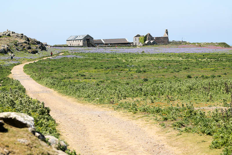 Buildings on Skomer 1