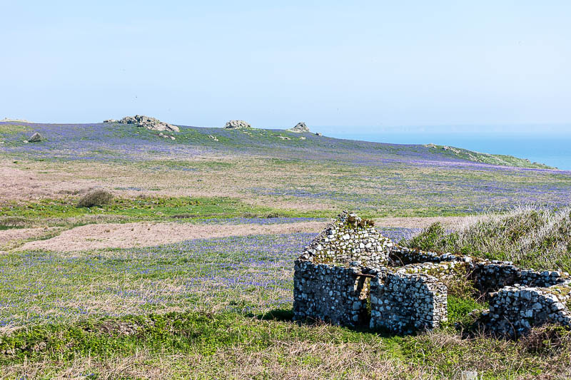 Buildings on Skomer 16