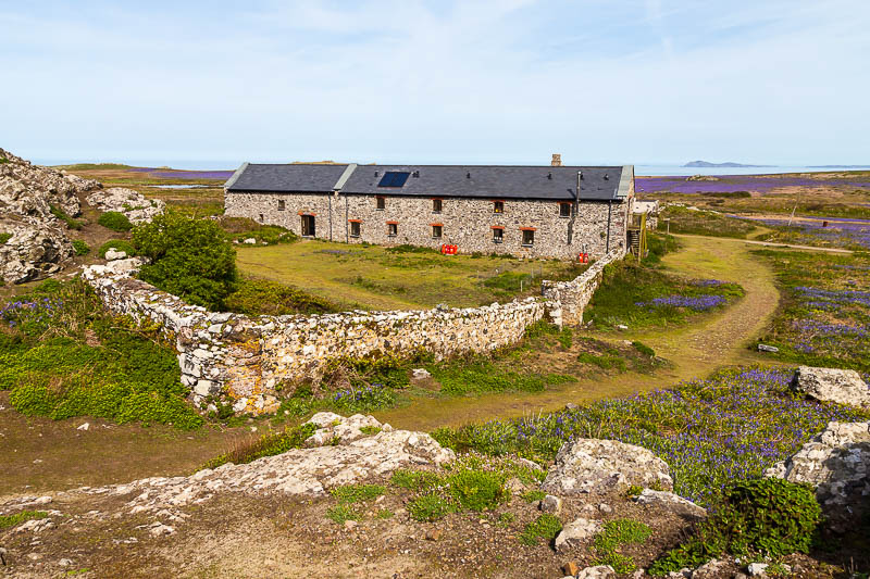 Buildings on Skomer 4