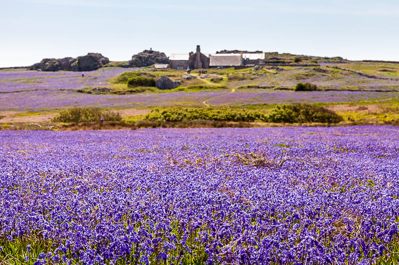 Buildings on Skomer 6