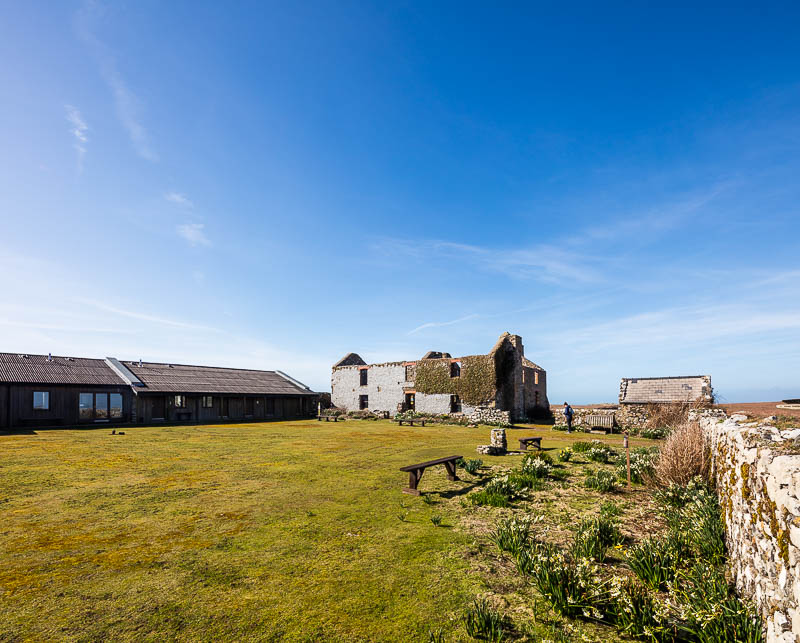 Buildings on Skomer 9