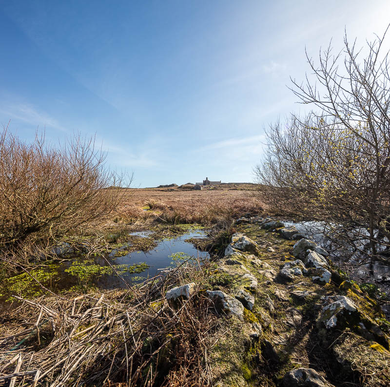 Early Skomer Season 12