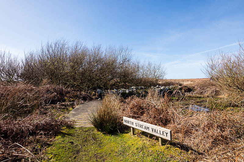 Early Skomer Season 13