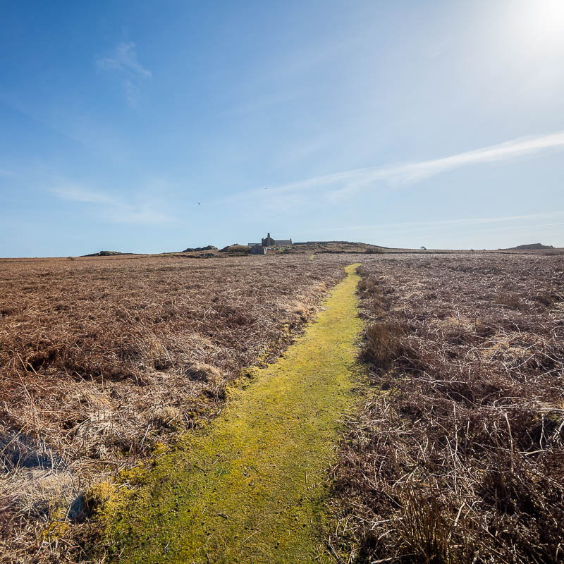 Early Skomer Season 14