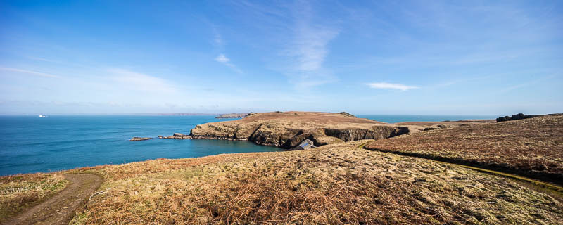 Early Skomer Season 16