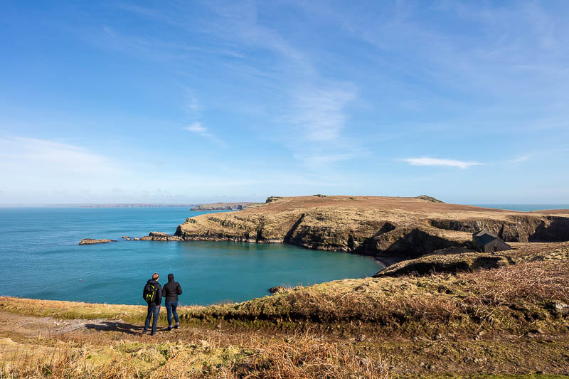 Early Skomer Season 17