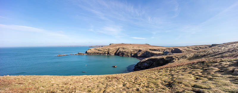 Early Skomer Season 18