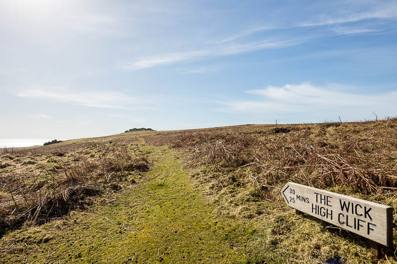 Early Skomer Season 2