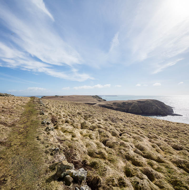 Early Skomer Season 4