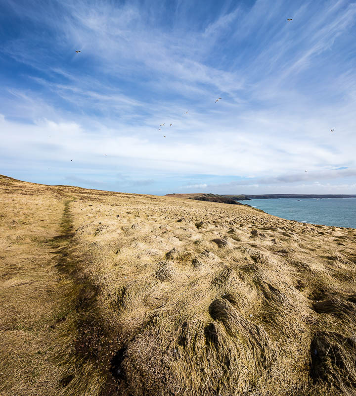 Early Skomer Season 5