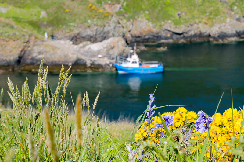 Boat to Skomer 11