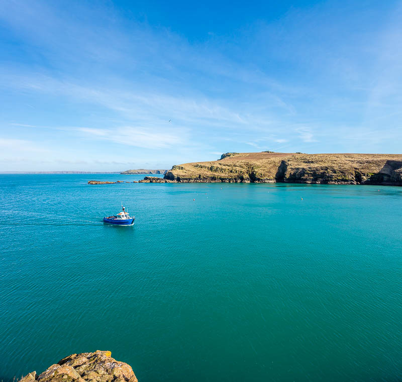 Boat to Skomer 24