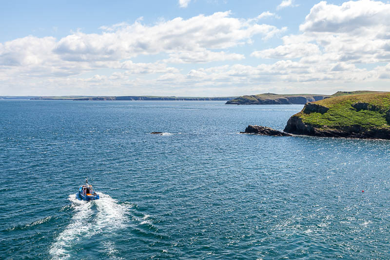 Boat to Skomer 29