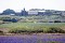 Buildings on Skomer 17