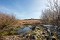 Early Skomer Season 12