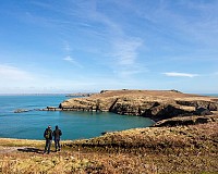 Early Skomer Season